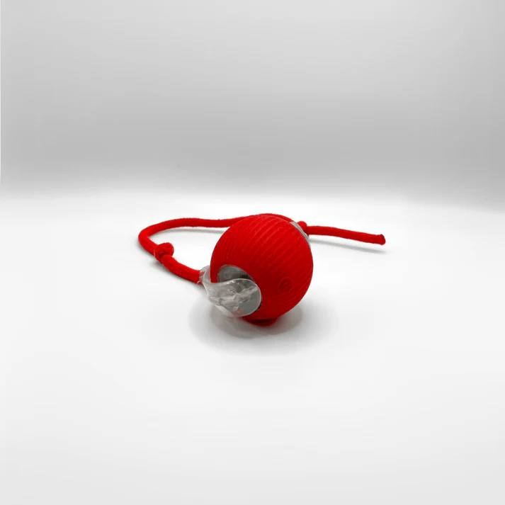 Montavella™ – Balle Interactive pour Chats