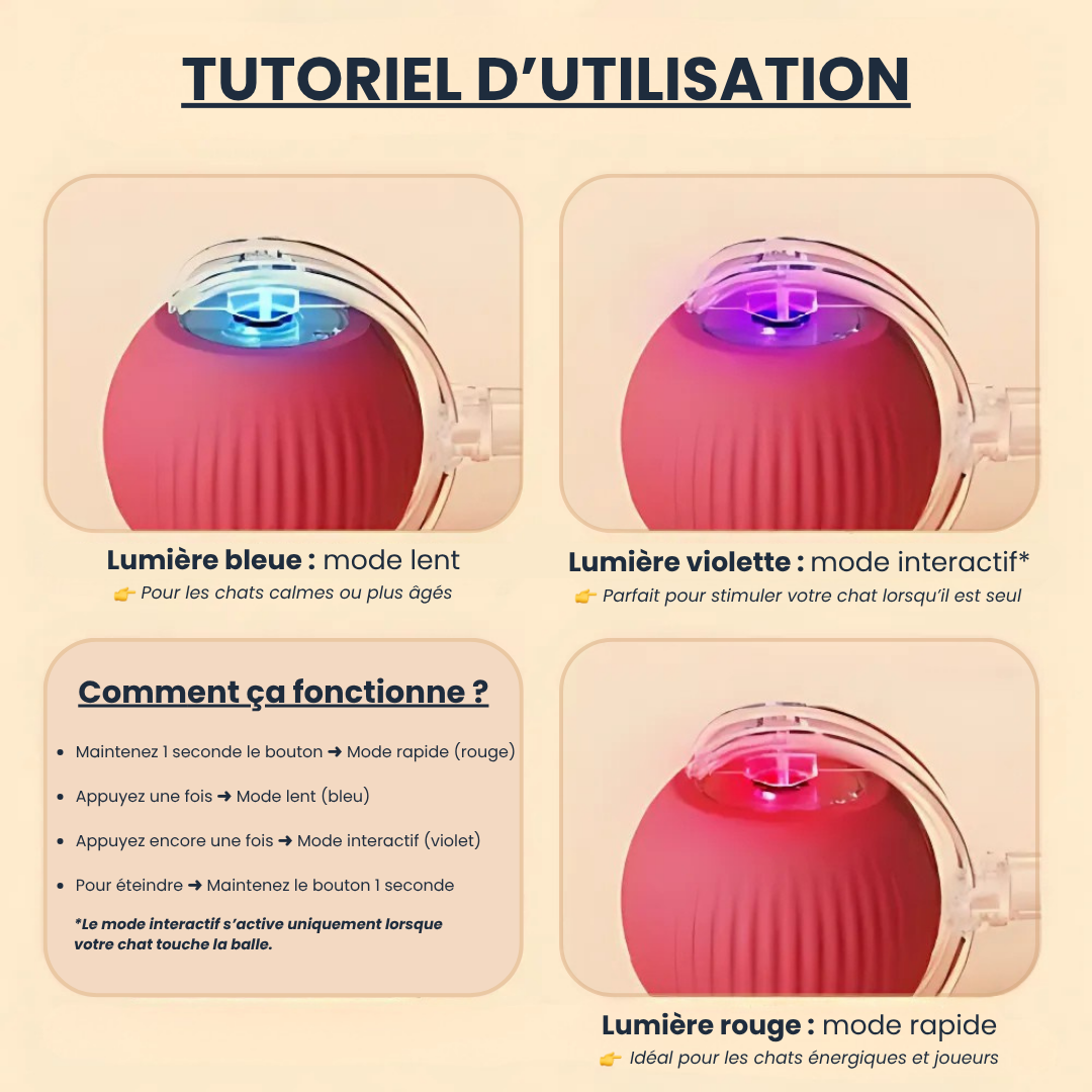 Montavella™ – Balle Interactive pour Chats