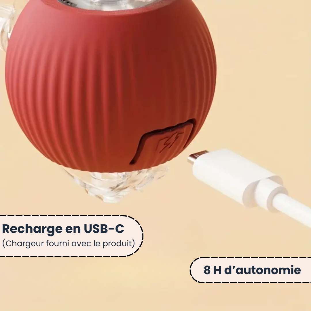 Montavella™ – Balle Interactive pour Chats