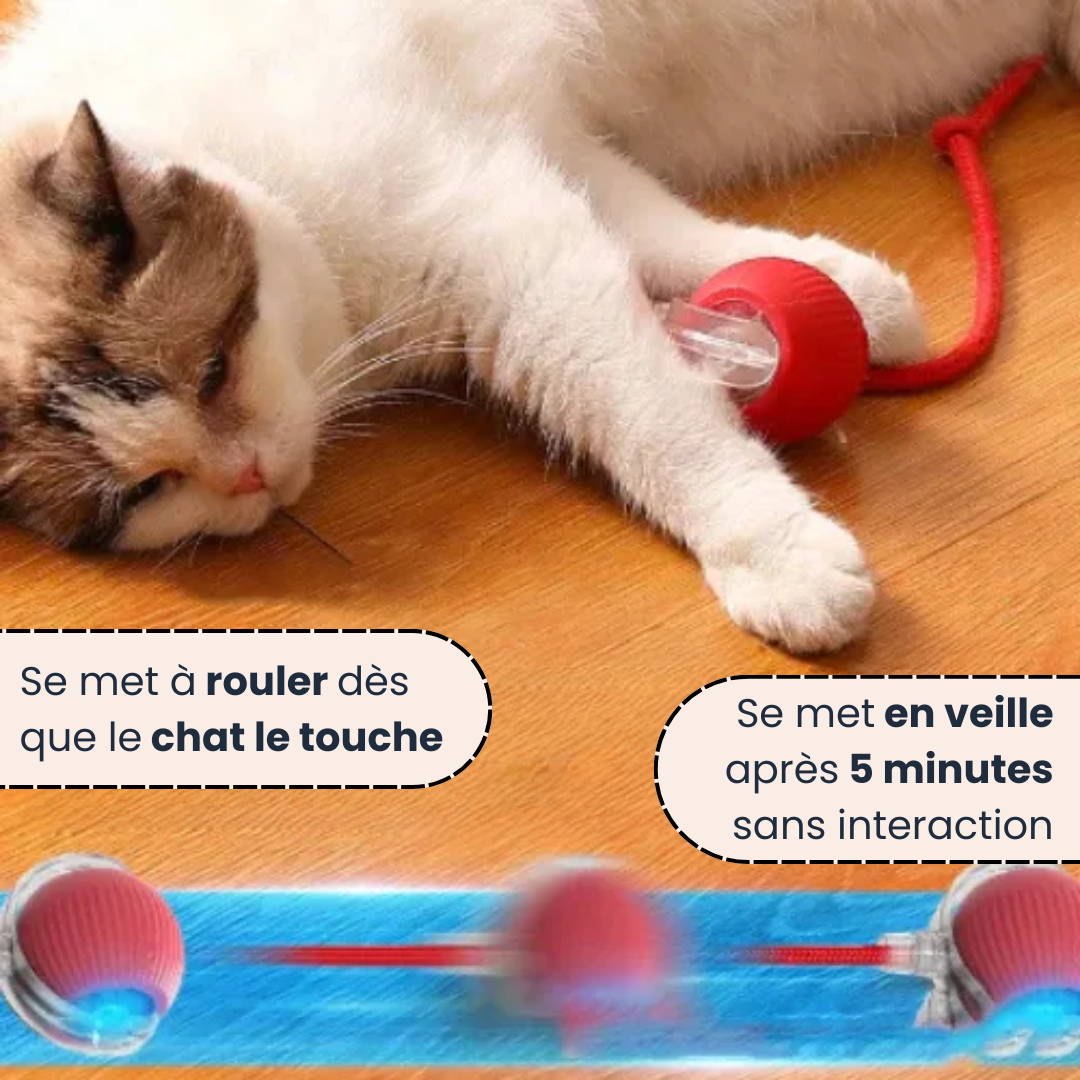 Montavella™ – Balle Interactive pour Chats